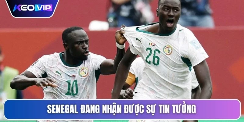 Soi Kèo Pháp Vs Senegal Lúc 02h00 Ngày 17/06 - World Cup 3 Senegal đang nhận được sự tin tưởng